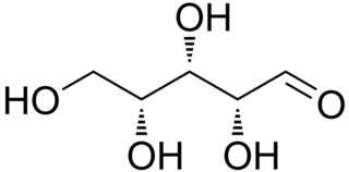 1574_Main_D-Xylose.png
