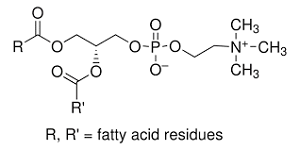 205_Main_Lecithin-removebg-preview.png