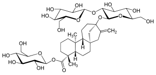 389_Main_Stevia.png