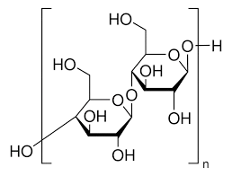 95_Main_Polyanionic_Cellulose-removebg-preview.png