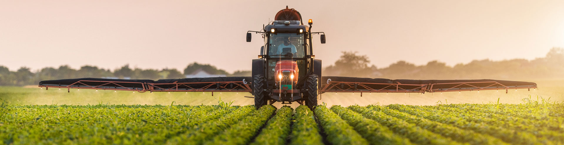 Agriculture